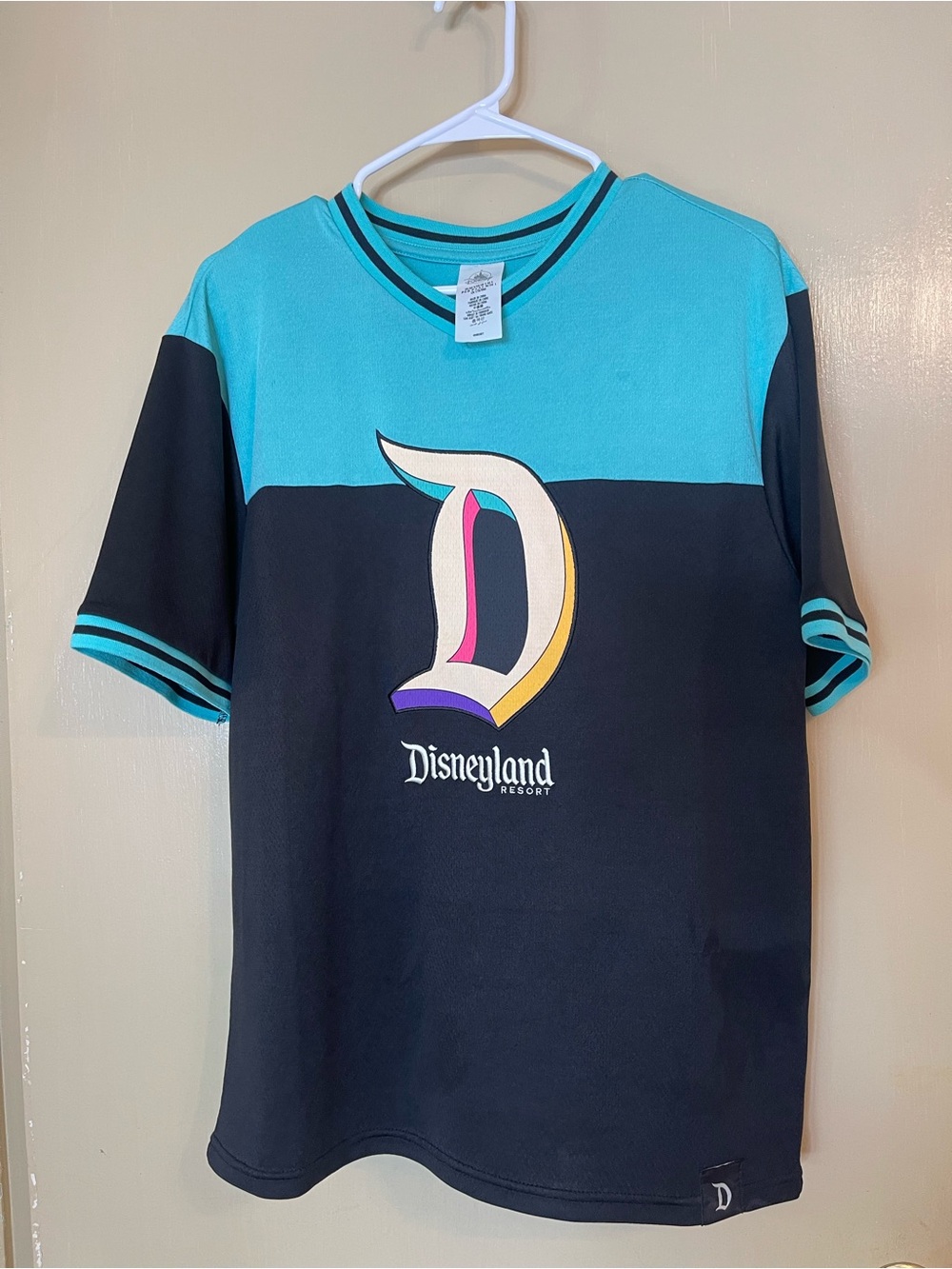 Disneyland Resort Two-Tone Teal & Black Logo jersey